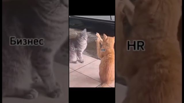 HR влияет на бизнес