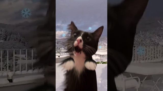 Положите пальцы на красные круги