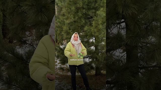 Ошибочное мнение