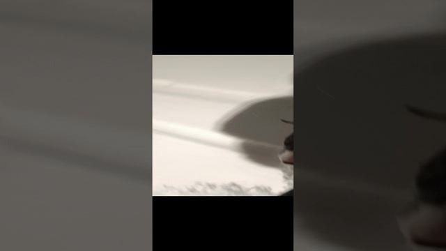 VID_20241207_230837