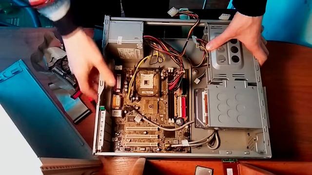 Енот барахольщик. Первый выпуск.