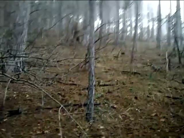 #Yeti #снежныйчеловек #лесовик   снежный человек 480p 2