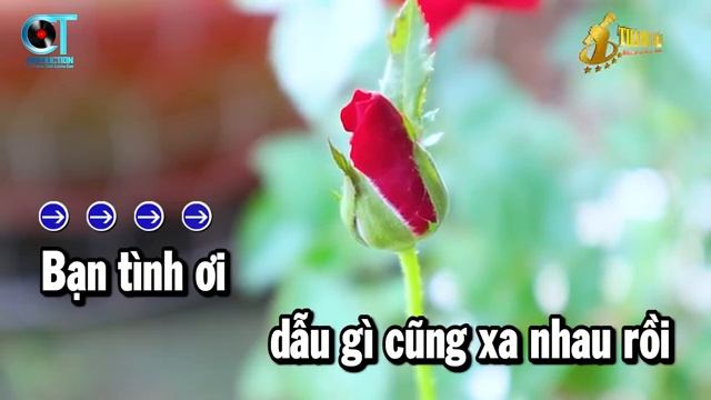 Karaoke Trách Ai Vô Tình Tone Nam
