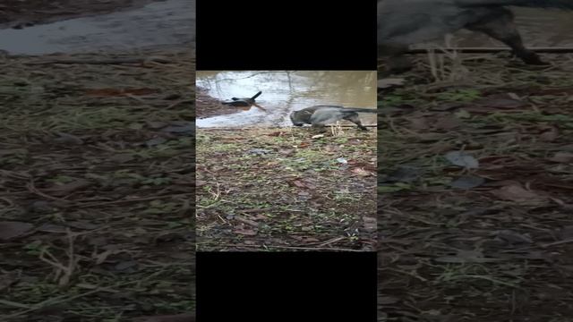 1000001440.mp4