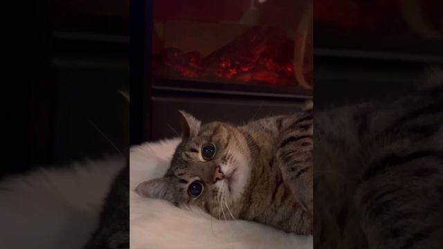 Обезательно со звуком