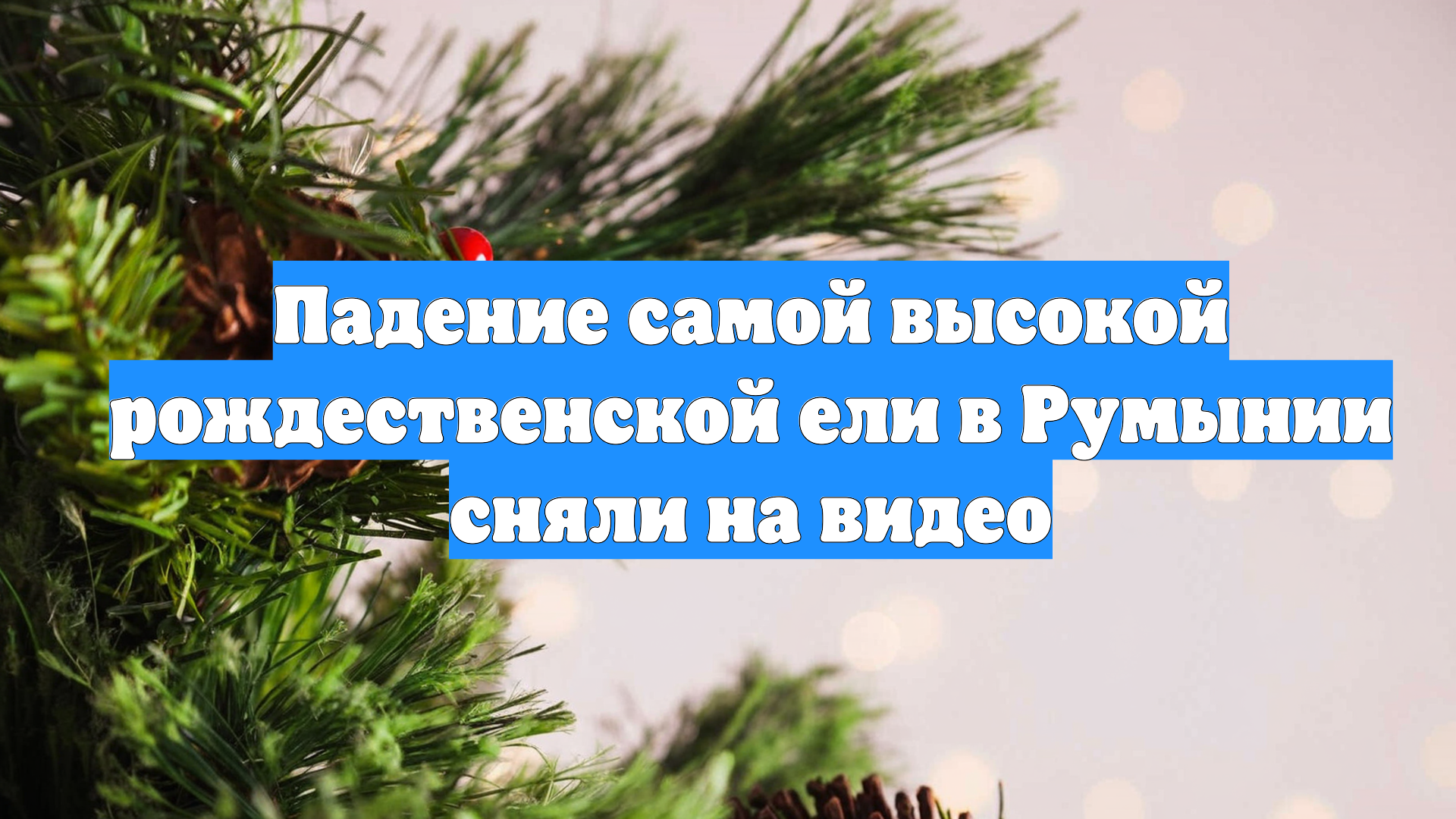 Падение самой высокой рождественской ели в Румынии сняли на видео