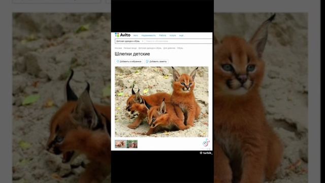 шлёпки детские на avito