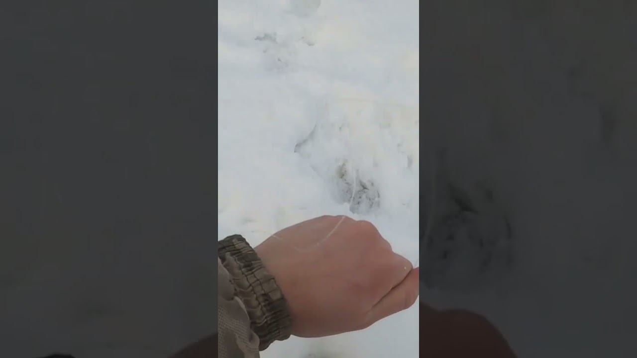 Полный ролик на канале