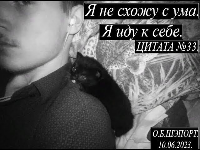 Я НЕ СХОЖУ С УМА. ЦИТАТЫ СО СМЫСЛОМ В ЖИЗНИ.  АВТОР ОСТИН ШЭПОРТ. ЦИТАТА №33.