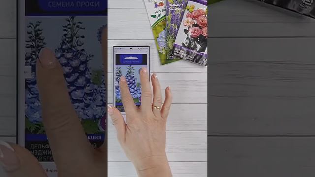 Что можно посеять в декабре-январе?  ⠀