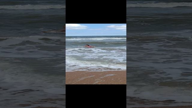 Голубицкая