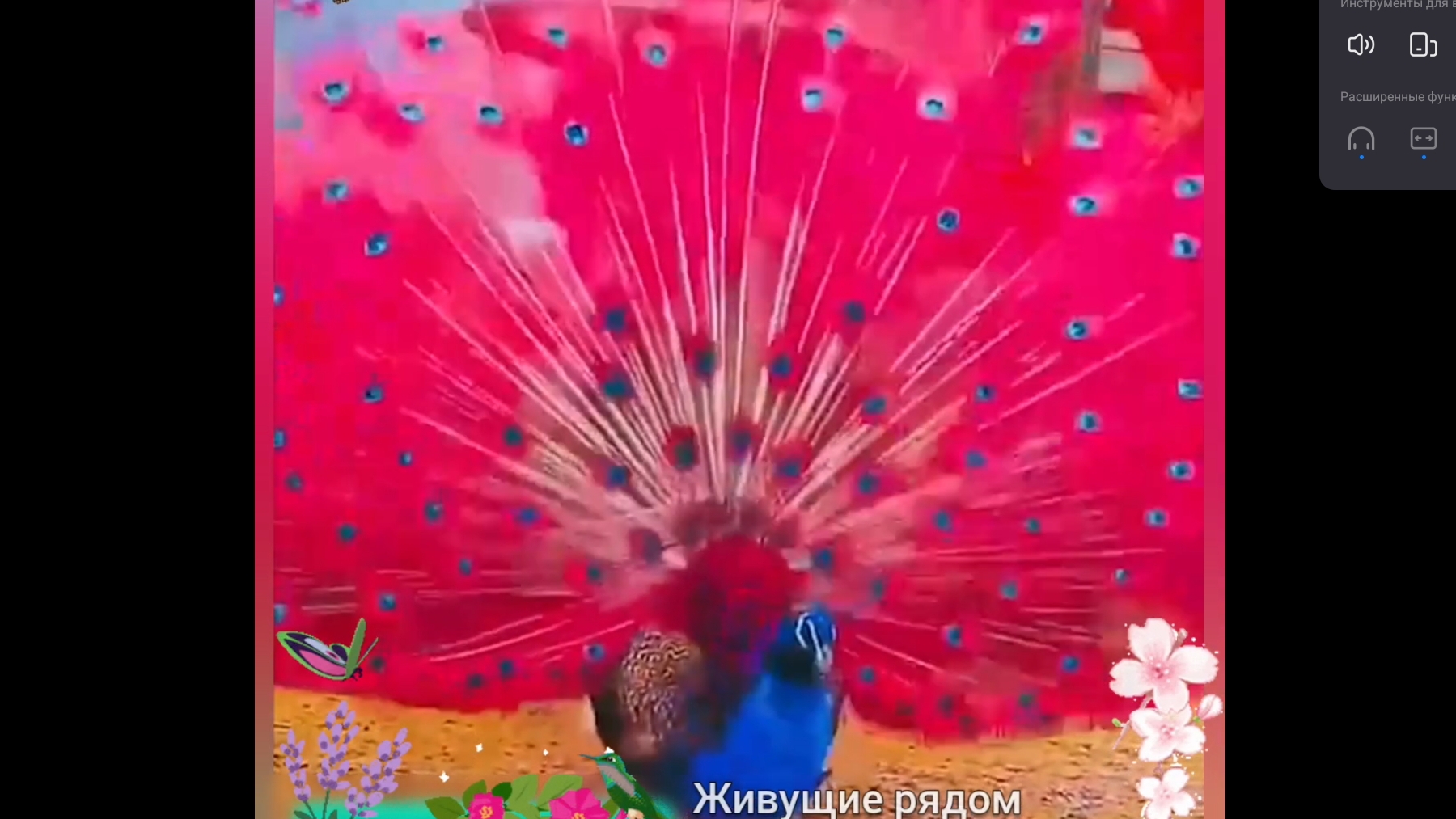 ЖИВУЩИЕ ... РЯДОМ 🎶
