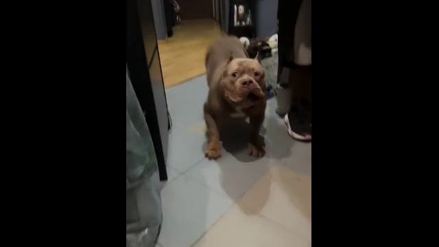 Когда пришел домой и не сказал как сильно любишь его