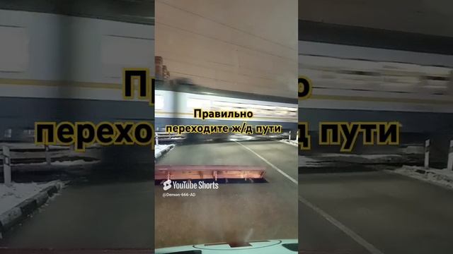 рабочие сутки