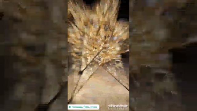 Новогодний Мурманск. Что посмотреть в Мурманске!?