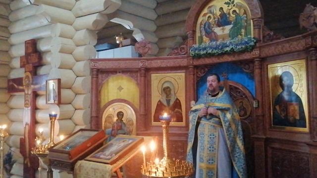Единство "всего Адама"