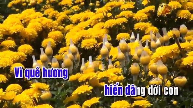 Karaoke Hãy Yên Lòng Mẹ Ơi   Tone Nam