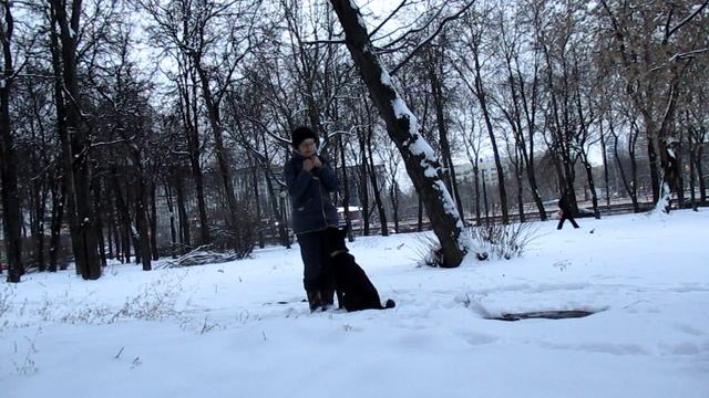Концентрация внимания 1а