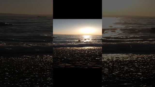 1000010599.mp4