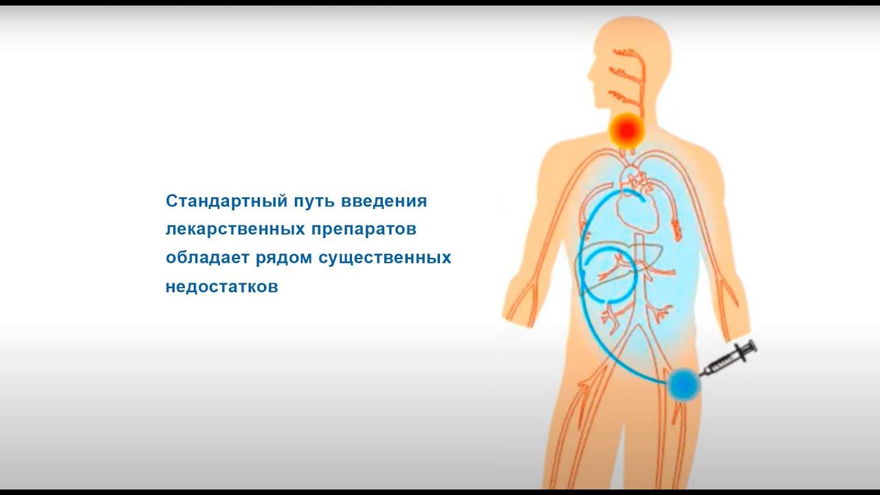 Эндоэкологическая медицина ознакомительная лекция