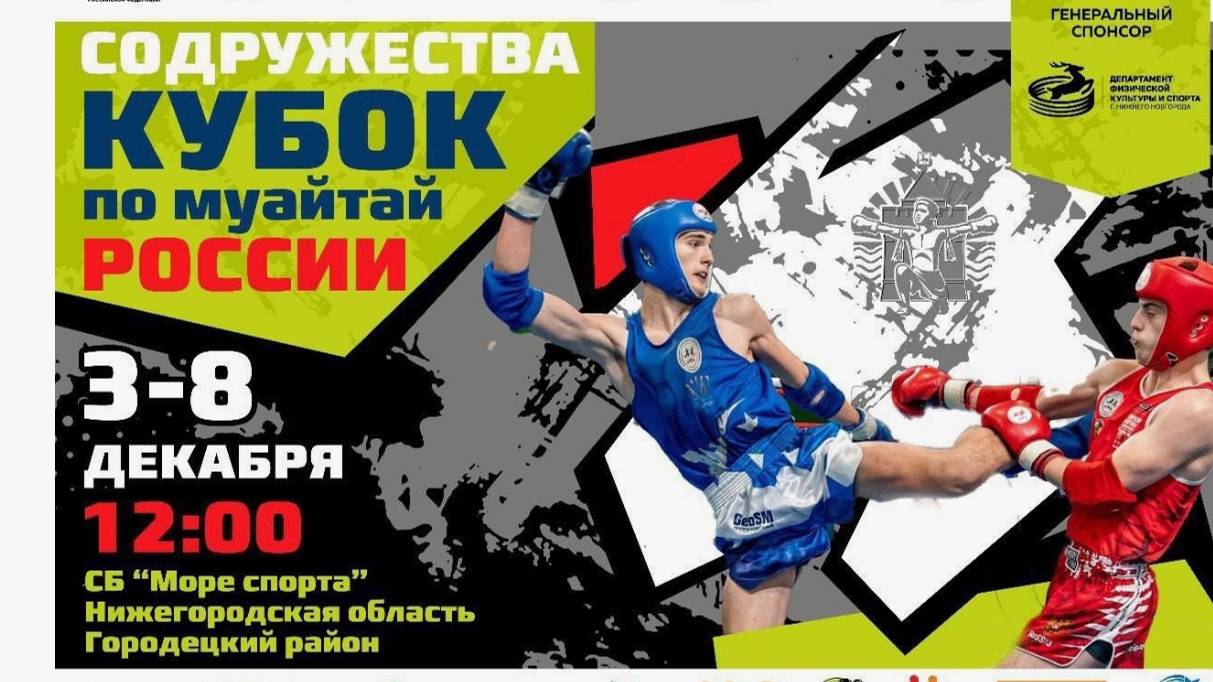 Кубок содружества Тайский Бокс Нижний Новгород 2024 год Доминик Красный угол 1/16 финала