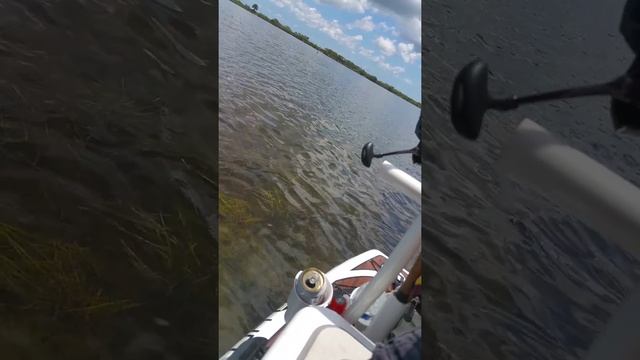 Redfishing on Paddleboard in Titusville!