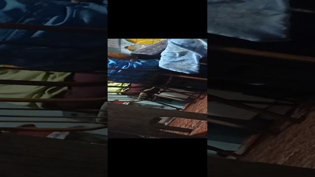 1000000435.mp4