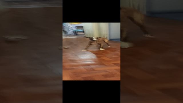 1000036776.mp4
