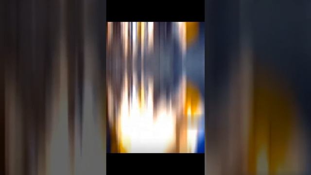 1000006905.mp4