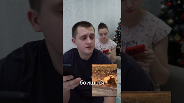 Получается я лев 😂 #юмор #приколы #муж #отношения