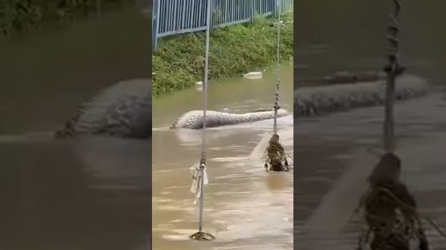 Индонезия наводнение 2024.