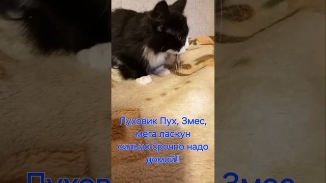 1000117407.mp4