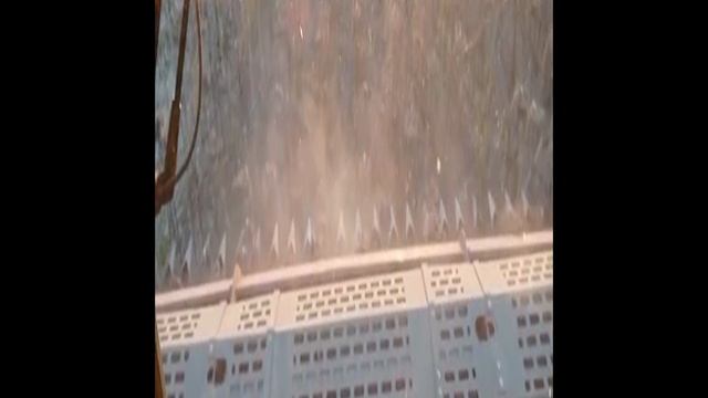 Работы безрядной жатки НАШ для подсолнечника
