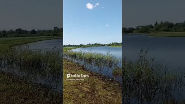 Утром идем с собакой на речку купаться и умываться