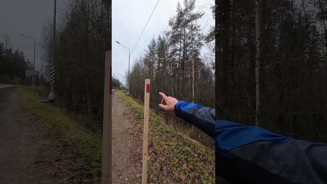 Палки вдоль дороги