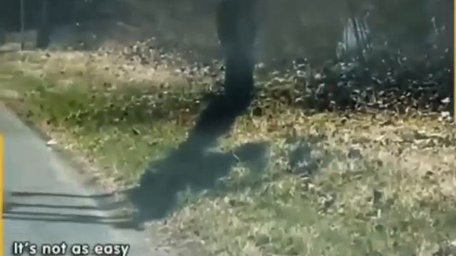 Медвежуть