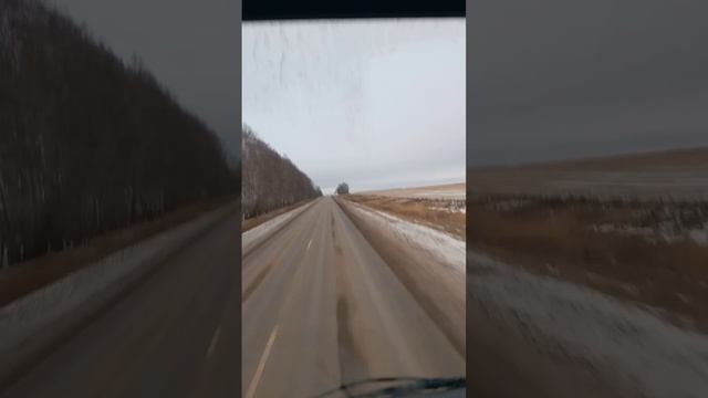 1000004019.mp4