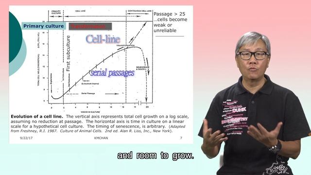 Cytotoxicity Assays (1) In vitro study and cell culture
