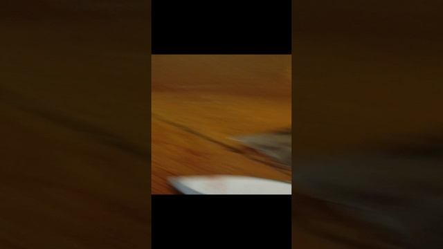 знакомства из другой семи