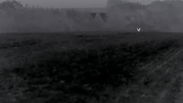 1000003991.mp4
