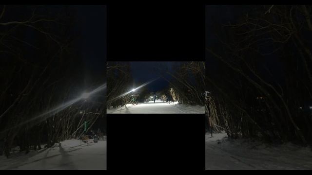 2024-12-09-123200576.mp4 Елена Дружиненко Воркута