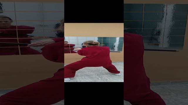 VID_20241127_191224.mp4