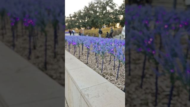 парк Галицкого.Осень 2024.mp4