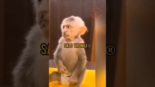 Зеленский сделал пластику 🤣🤣🤣🤣🤣