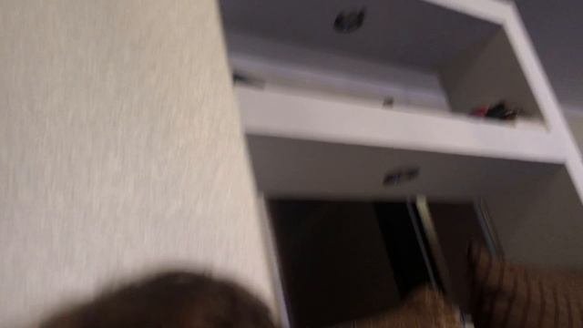 Интервью