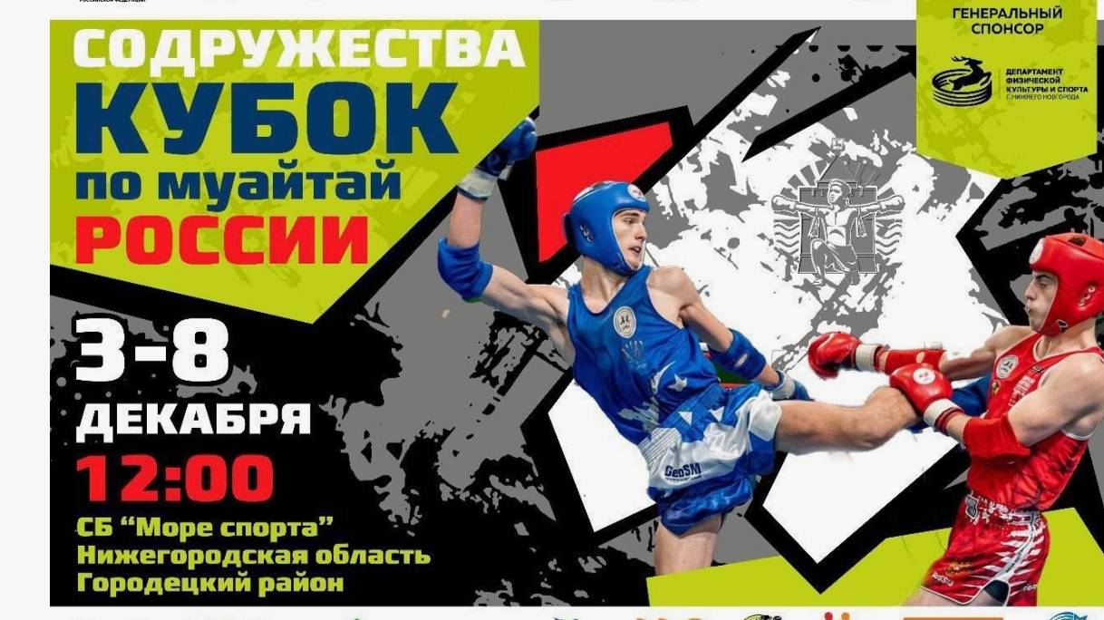 Кубок Содружества Тайский Бокс Нижний Новгород 2024 год Доминик Синий угол 1/4 финала