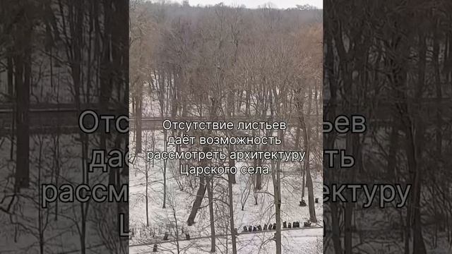 Пушкин. Певческая башня
