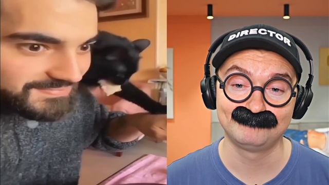 весёлые видосики