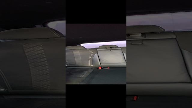 VID_20241205_123245.mp4