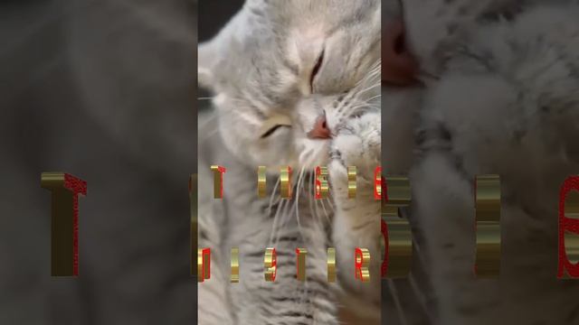 Поговорка